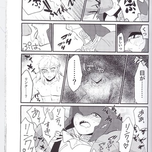 [Noukou wa Chimitsu Sauce (Sorato, Tsunami)] Sidon Ouji to Amai Jikan o Sugoshimashou – The Legend of Zelda dj [JP] – Gay Comics image 022.jpg