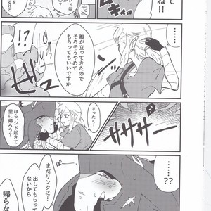 [Noukou wa Chimitsu Sauce (Sorato, Tsunami)] Sidon Ouji to Amai Jikan o Sugoshimashou – The Legend of Zelda dj [JP] – Gay Comics image 024.jpg