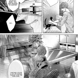 [Pokela Ichigo/ Fujino] Kuroko no Basket dj – Vampire to Kuro Neko 2 [Eng] – Gay Comics image 002.jpg