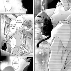 [Pokela Ichigo/ Fujino] Kuroko no Basket dj – Vampire to Kuro Neko 2 [Eng] – Gay Comics image 011.jpg