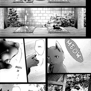 [Pokela Ichigo/ Fujino] Kuroko no Basket dj – Vampire to Kuro Neko 2 [Eng] – Gay Comics image 027.jpg