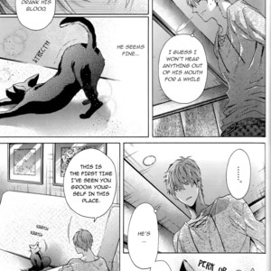 [Pokela Ichigo/ Fujino] Kuroko no Basket dj – Vampire to Kuro Neko 2 [Eng] – Gay Comics image 048.jpg