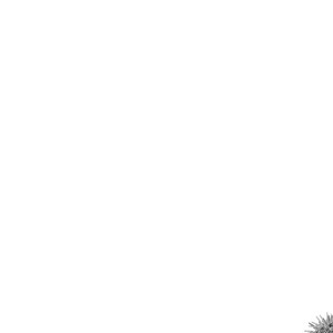 [Ikuyasu] Aigan Danshi Love Grow Up [JP] – Gay Comics image 177.jpg