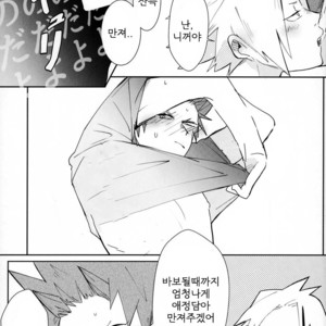 [Hayanori] Mine – Boku no Hero Academia dj [kr] – Gay Comics image 011.jpg