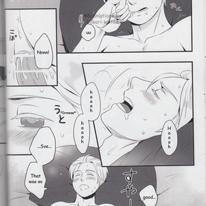 [Niku to Mame (Rebasashi)] Hetalia dj – Good Night With Sve [Eng] – Gay Comics image 017.jpg