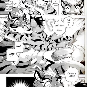 [KUMAK.COM (KUMAK)] Nekonoyu – Nekojishi dj [Eng] – Gay Comics image 011.jpg