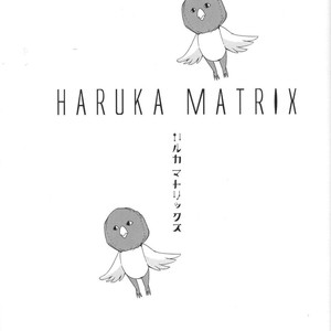 [Omega 2D] Haruka MATRIX – Free! dj [JP] – Gay Comics image 002.jpg