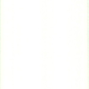[Haiiro] Yori Dori Brave Chain – Fate/ Grand Order dj [JP] – Gay Comics image 030.jpg