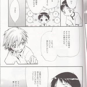 [RAYTREC] Sōsei-ki o oite sukoshi hanasou – Evangelion dj [JP] – Gay Comics image 020.jpg