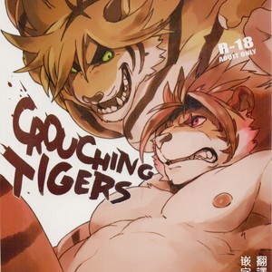 [Senmatu-Chaya (Kamado)] CROUCHING TIGERS – Tokyo Afterschool Summoners dj [cn] – Gay Comics