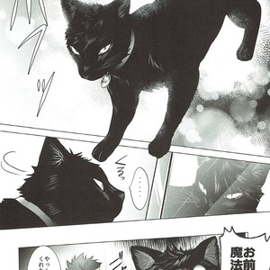 [KUROQUIS (Kuro)] As you Desire – Haikyuu!! dj [JP] – Gay Manga image 019.jpg