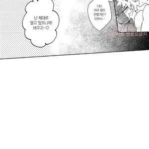[HELLENISM (Y)] Switch On The – Boku no Hero Academia dj [kr] – Gay Manga image 036.jpg