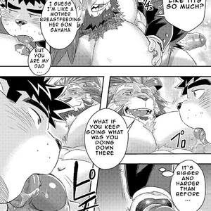 [WILD STYLE (Ross)] King’s Dungeon – Tokyo Afterschool Summoners dj [Eng] – Gay Manga image 016.jpg