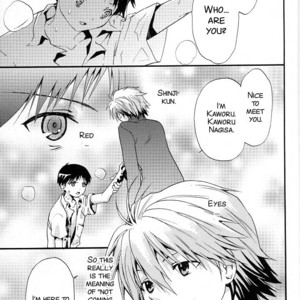 [RAYTREC (Fuyunagi Reku)] +PLUS – Neon Genesis Evangelion dj [Eng] – Gay Manga image 005.jpg