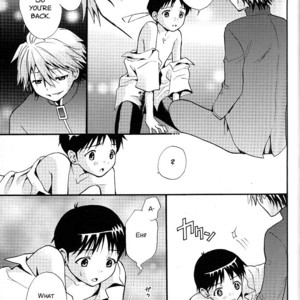 [RAYTREC (Fuyunagi Reku)] +PLUS – Neon Genesis Evangelion dj [Eng] – Gay Manga image 013.jpg