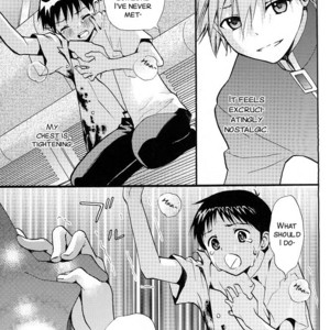 [RAYTREC (Fuyunagi Reku)] +PLUS – Neon Genesis Evangelion dj [Eng] – Gay Manga image 017.jpg