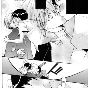 [RAYTREC (Fuyunagi Reku)] +PLUS – Neon Genesis Evangelion dj [Eng] – Gay Manga image 018.jpg
