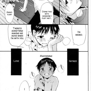 [RAYTREC (Fuyunagi Reku)] +PLUS – Neon Genesis Evangelion dj [Eng] – Gay Manga image 019.jpg