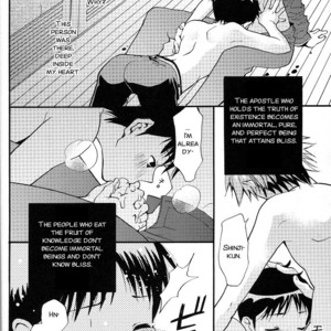 [RAYTREC (Fuyunagi Reku)] +PLUS – Neon Genesis Evangelion dj [Eng] – Gay Manga image 022.jpg