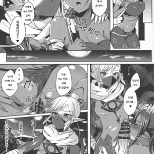 [Maltese (Runrun)] Yuuwaku no Akaitsuki to Futari no Himitsu – The Legend of Zelda dj [kr] – Gay Manga image 009.jpg