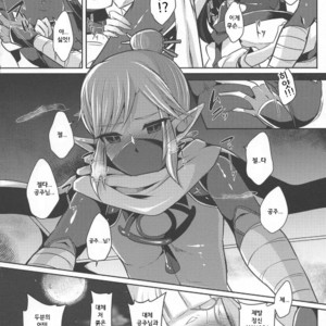 [Maltese (Runrun)] Yuuwaku no Akaitsuki to Futari no Himitsu – The Legend of Zelda dj [kr] – Gay Manga image 014.jpg