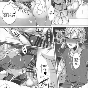 [Maltese (Runrun)] Yuuwaku no Akaitsuki to Futari no Himitsu – The Legend of Zelda dj [kr] – Gay Manga image 019.jpg