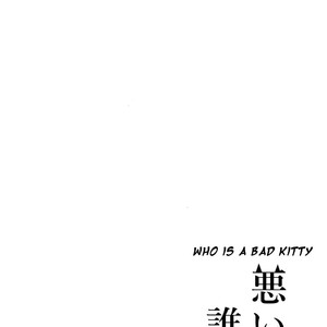 [Lovely Hollow (Shibue)] Warui Neko Dareda – Boku no Hero Academia dj [Eng] – Gay Manga image 005.jpg