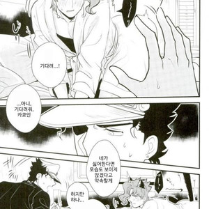 [Botton Benz] Animae dimidium meae – Saepe creat molles aspera spina rosas [kr] – Gay Manga image 049.jpg