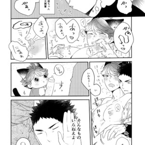 [Rototika (Kamishi Yue)] Iwachan no Neko ni Naritai 6 – Haikyuu!! dj [JP] – Gay Manga image 025.jpg