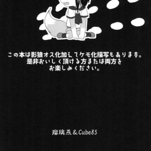 [Kimuchi-Tei (Ruri Tsubame)] Shadow Wolf♂ [JP] – Gay Manga image 003.jpg