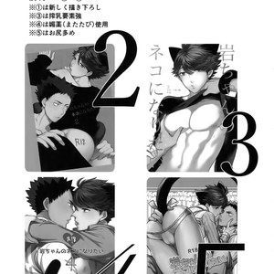 [Rototika (Kamishi Yue)] Iwachan no Neko ni Naritai Sairoku-Shuu – Haikyuu!! dj [JP] – Gay Manga image 004.jpg