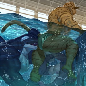 [raccoon21] Pool — 3
