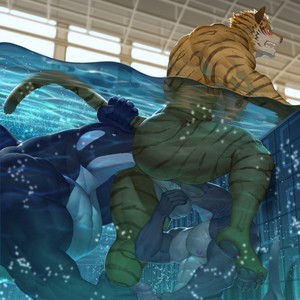 [raccoon21] Pool — 8