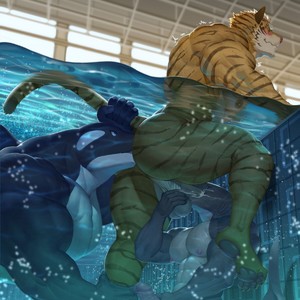 [raccoon21] Pool — 10