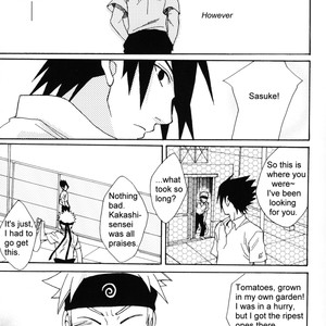 [KSL (OKIMURA Shino)] Naruto dj – Seishun Kyousou Kyouku (Adolescent Mania) [Eng] – Gay Yaoi image 018.jpg