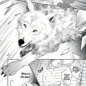 [IWAMOTO Kaoru, TORIUMI Youko] Yokujou (c.1) [Eng] — 031