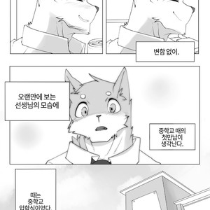 [Hachi Duchi] Grey Cream Puff [kr] — 6