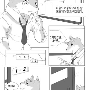 [Hachi Duchi] Grey Cream Puff [kr] — 7