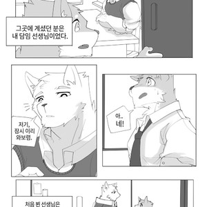 [Hachi Duchi] Grey Cream Puff [kr] — 8