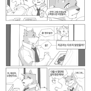 [Hachi Duchi] Grey Cream Puff [kr] — 10