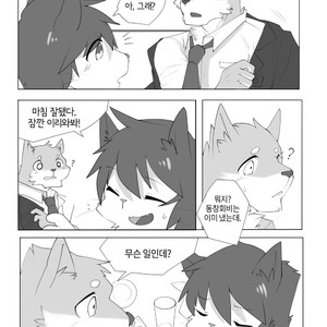 [Hachi Duchi] Grey Cream Puff [kr] — 12