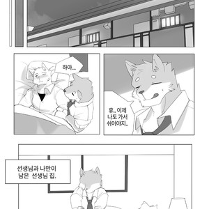 [Hachi Duchi] Grey Cream Puff [kr] — 15