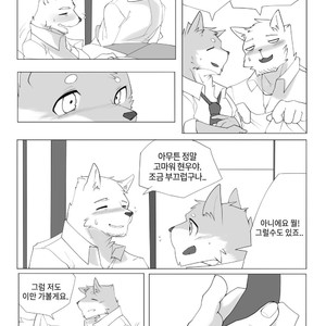 [Hachi Duchi] Grey Cream Puff [kr] — 16