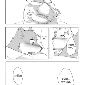 [Hachi Duchi] Grey Cream Puff [kr] — 18