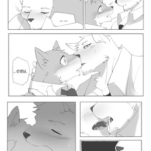 [Hachi Duchi] Grey Cream Puff [kr] — 019