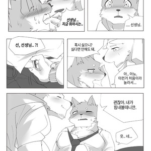[Hachi Duchi] Grey Cream Puff [kr] — 020