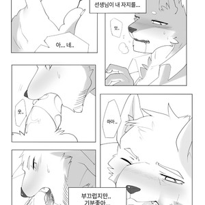 [Hachi Duchi] Grey Cream Puff [kr] — 021
