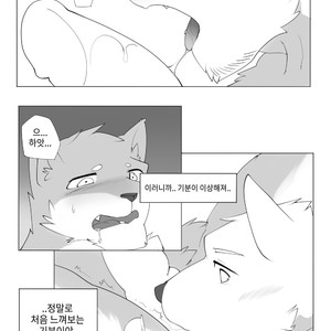 [Hachi Duchi] Grey Cream Puff [kr] — 022