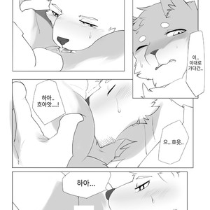 [Hachi Duchi] Grey Cream Puff [kr] — 023