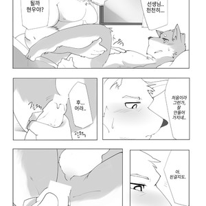[Hachi Duchi] Grey Cream Puff [kr] — 024
